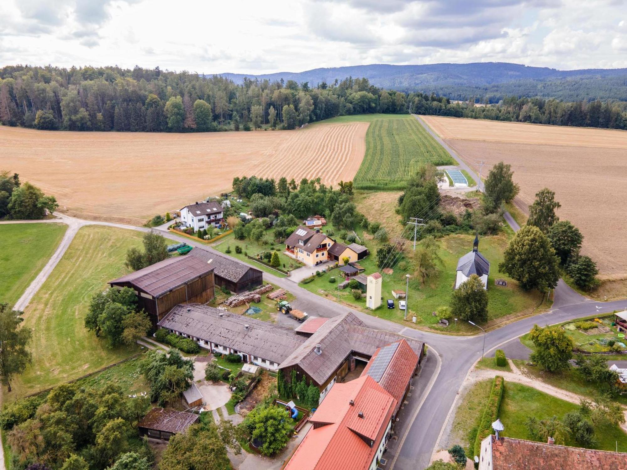 Ferienwohnung Baecher Wiesau Экстерьер фото